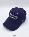 Purple EAGLE Contrast Embroidered Cap - C0512
