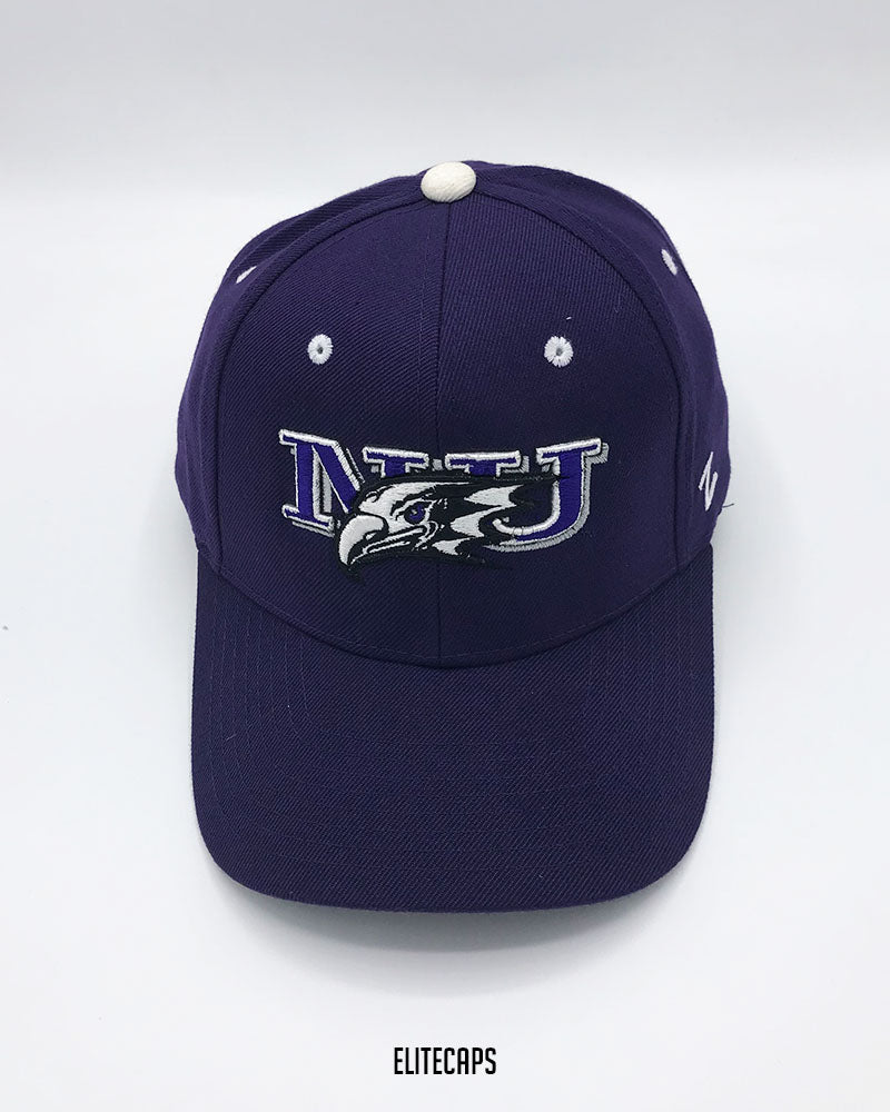 Purple EAGLE Contrast Embroidered Cap - C0512
