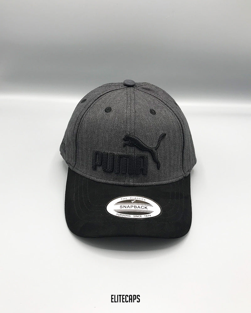 PMA Grey Two-Tone Baseball Cap - C0386