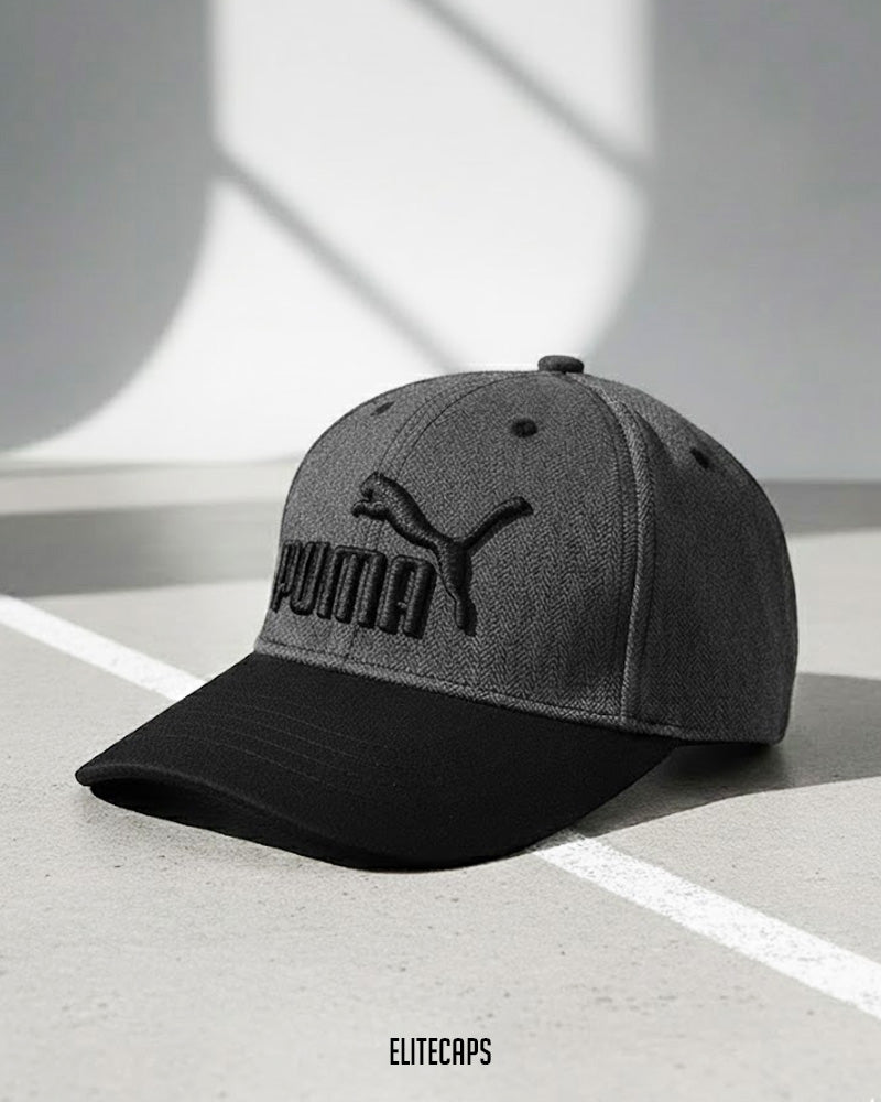 PMA Grey Two-Tone Baseball Cap - C0386